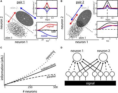 Population Coding and Correlated Variability in Electrosensory Pathways